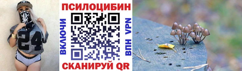 площадка состав Арсеньев Псилоцибиновые грибы ЛСД